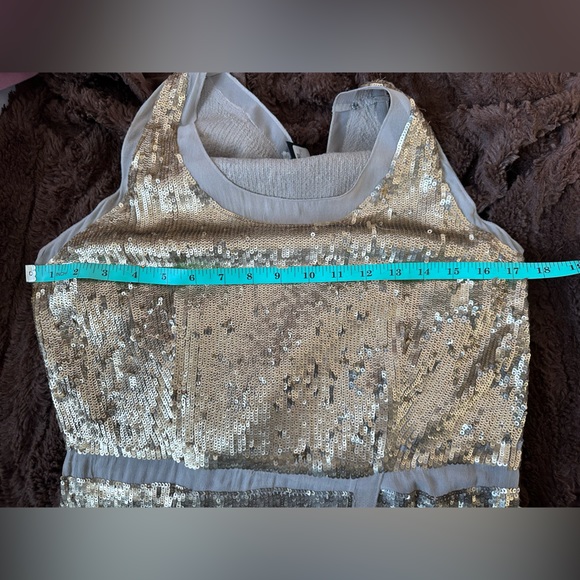 #2- Club Monaco. Silk and sequin dress. New with Tags! - Picture 13 of 13